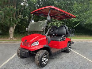 georgia golf cart repair, golf cart service, mobile repair